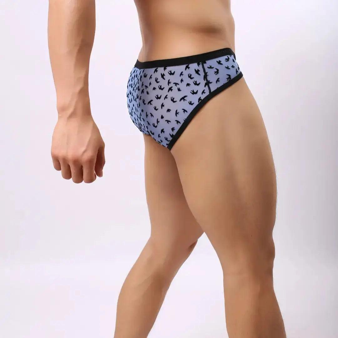 DomiGe DomiGe Men's Lace Briefs Nylon Mesh Underwear Mid-Rise Lingerie