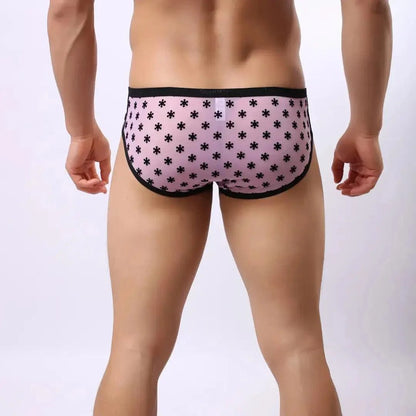 DomiGe DomiGe Men's Lace Briefs Nylon Mesh Underwear Mid-Rise Lingerie