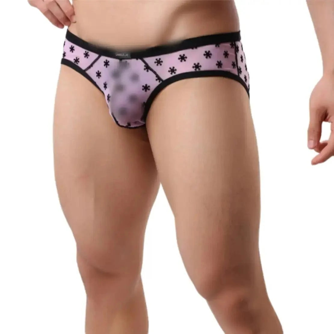 DomiGe DomiGe Men's Lace Briefs Nylon Mesh Underwear Mid-Rise Lingerie
