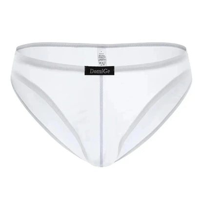 DomiGe DomiGe Men's Low-Rise Mesh Briefs Full Coverage Male Briefs Underwear