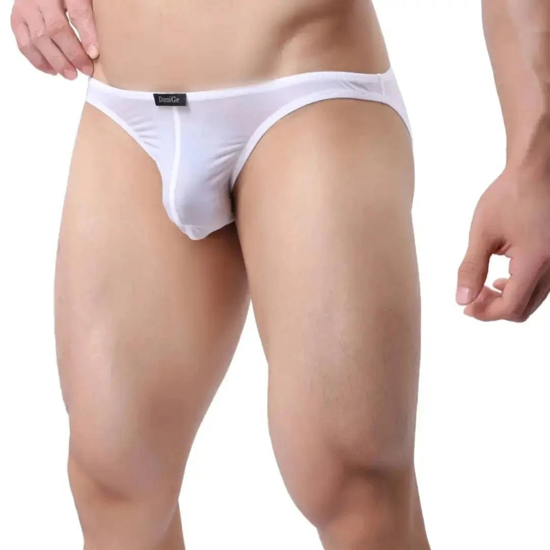DomiGe DomiGe Men's Low-Rise Mesh Briefs Full Coverage Male Briefs Underwear