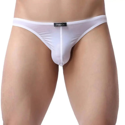 DomiGe DomiGe Men's Low-Rise Mesh Briefs Full Coverage Male Briefs Underwear