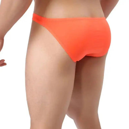 DomiGe DomiGe Men's Low-Rise Mesh Briefs Full Coverage Male Briefs Underwear