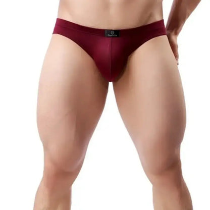 DomiGe DomiGe Men's Low-Rise Modal Briefs Sleek Male Underwear