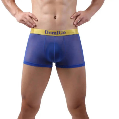 DomiGe DomiGe Men's Mesh Boxers Sexy See-Through Underwear