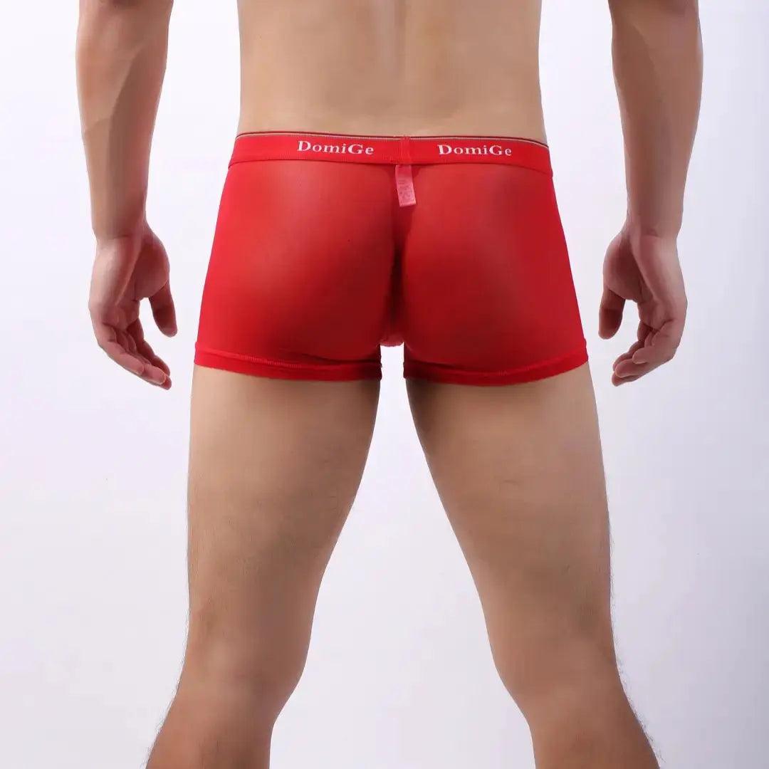 DomiGe DomiGe Men's Mesh Boxers Sexy See-Through Underwear