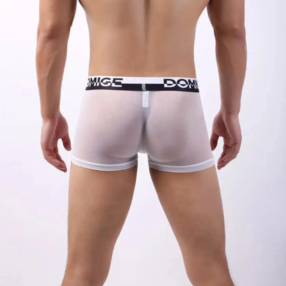 DomiGe DomiGe Men's Mesh Boxers Sexy See-Through Underwear