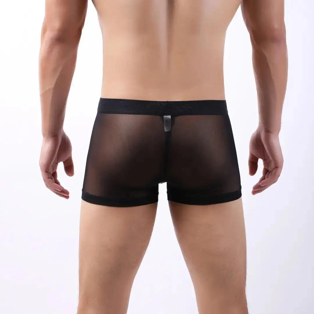 Tempt Sheer Herren-Unterwsche mit niedriger Leibhhe, sexy, durchsichtig,  fr Mnner   DomigeWear