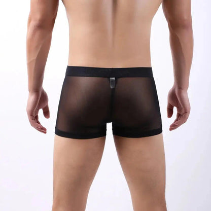 DomiGe DomiGe Men's Mesh Boxers Sexy See-Through Underwear