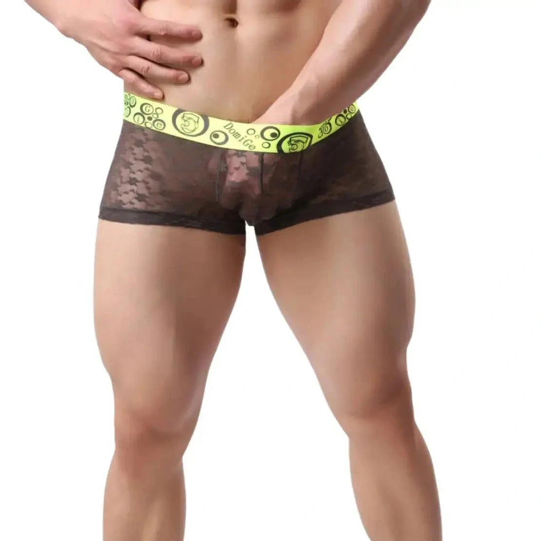 DomiGe DomiGe Men's Mesh Sheer Boxers Waistband Ultimate Male Underwear