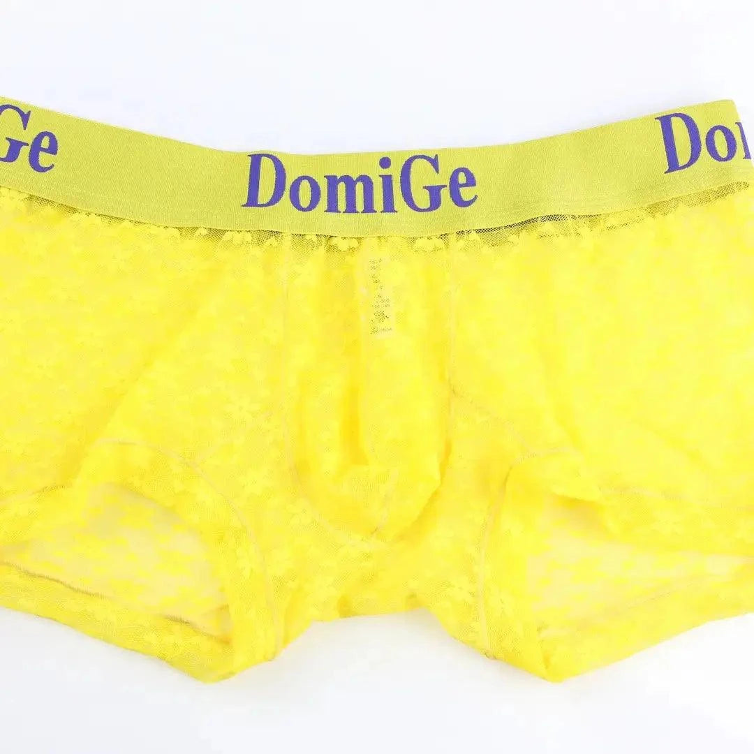 DomiGe DomiGe Men's Mesh Sheer Boxers Waistband Ultimate Male Underwear