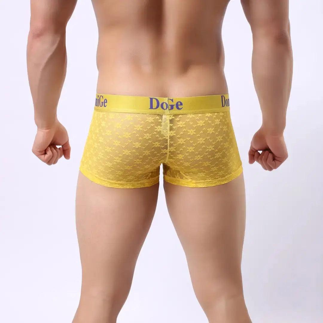 DomiGe DomiGe Men's Mesh Sheer Boxers Waistband Ultimate Male Underwear