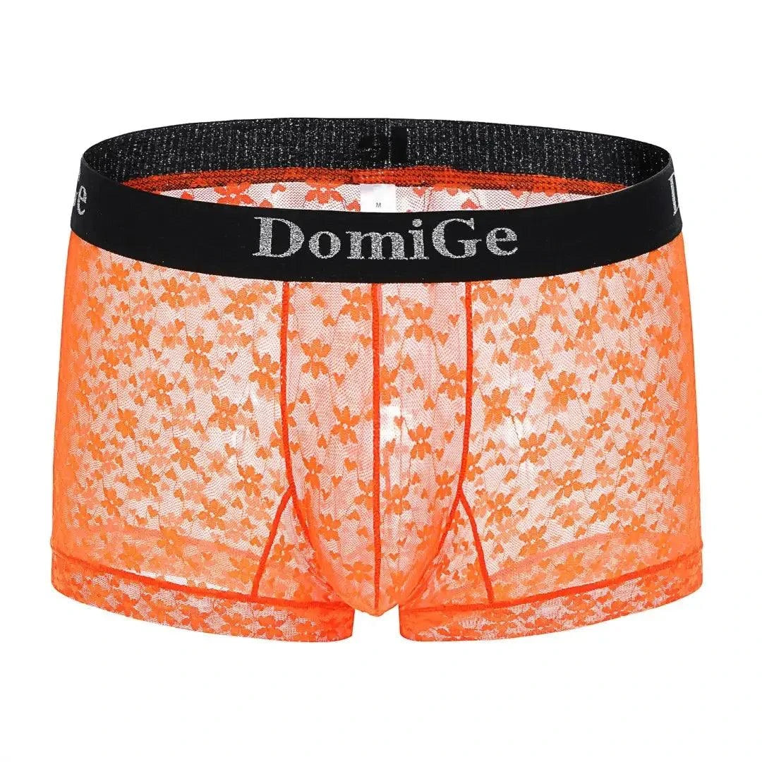 DomiGe DomiGe Men's Mesh Sheer Boxers Waistband Ultimate Male Underwear