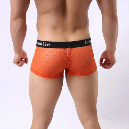DomiGe DomiGe Men's Mesh Sheer Boxers Waistband Ultimate Male Underwear