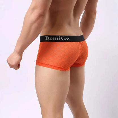 DomiGe DomiGe Men's Mesh Sheer Boxers Waistband Ultimate Male Underwear
