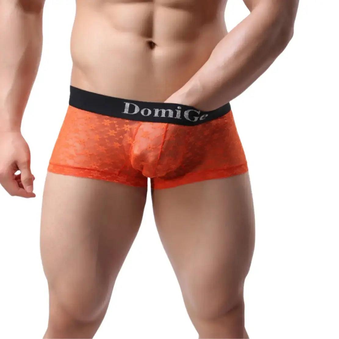 DomiGe DomiGe Men's Mesh Sheer Boxers Waistband Ultimate Male Underwear