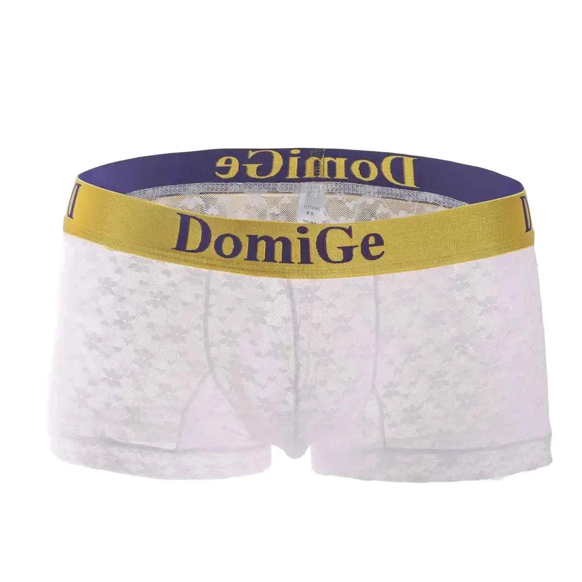 DomiGe DomiGe Men's Mesh Sheer Boxers Waistband Ultimate Male Underwear