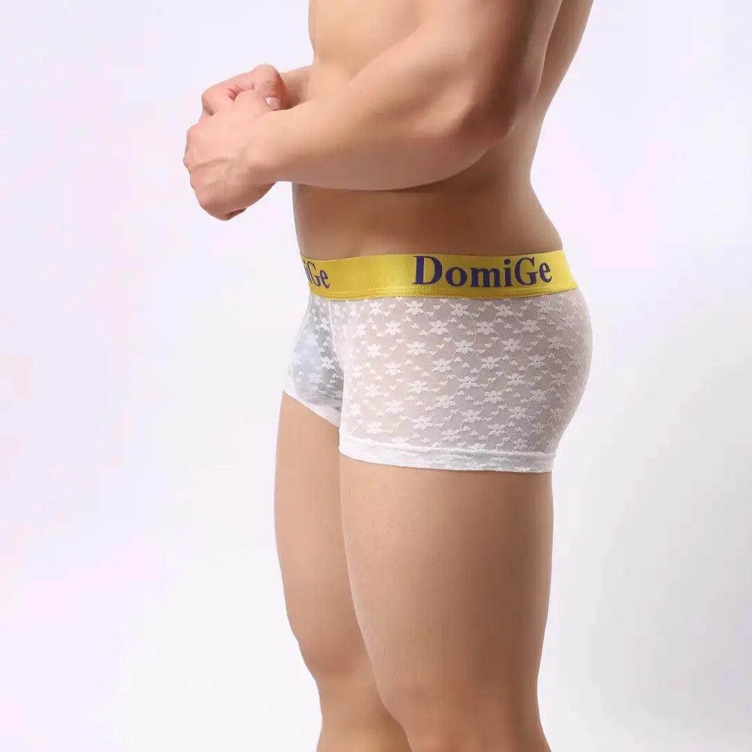 DomiGe DomiGe Men's Mesh Sheer Boxers Waistband Ultimate Male Underwear