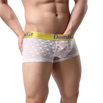 DomiGe DomiGe Men's Mesh Sheer Boxers Waistband Ultimate Male Underwear