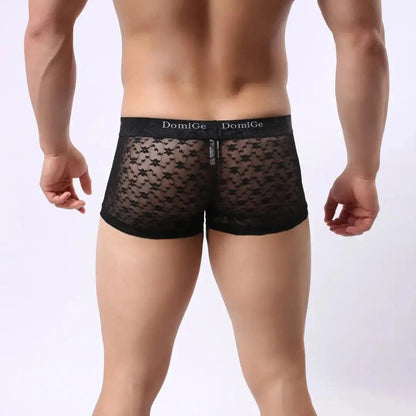 DomiGe DomiGe Men's Mesh Sheer Boxers Waistband Ultimate Male Underwear