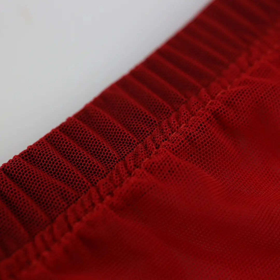 DomiGe DomiGe Men's Mesh Underwear - Premium Red Underwear for Men with Comfortable Fit