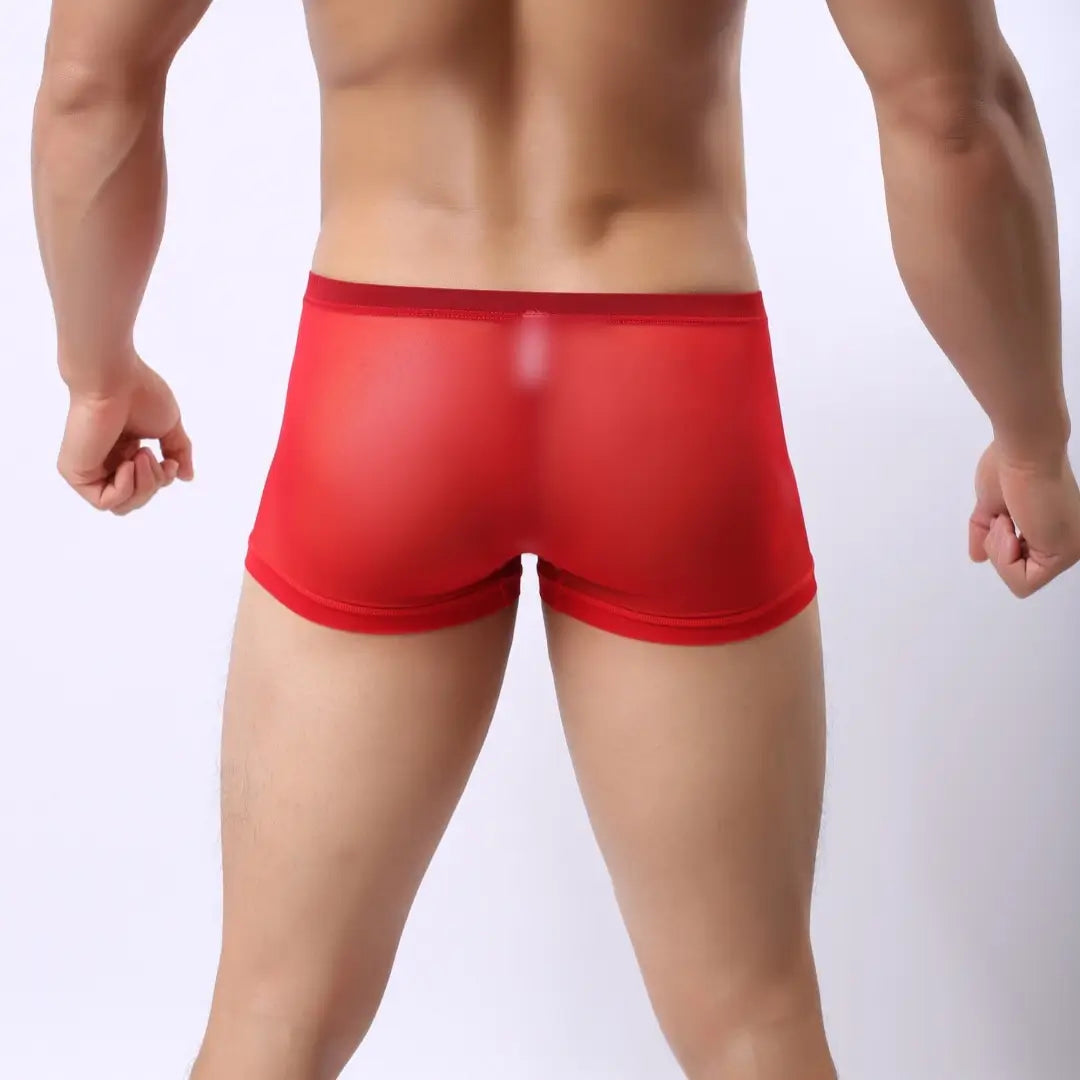 DomiGe DomiGe Men's Mesh Underwear - Premium Red Underwear for Men with Comfortable Fit