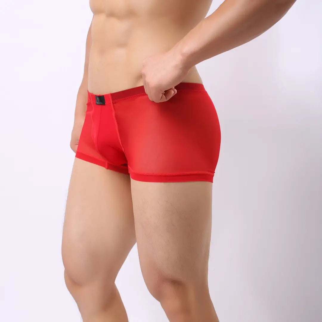 DomiGe DomiGe Men's Mesh Underwear - Premium Red Underwear for Men with Comfortable Fit