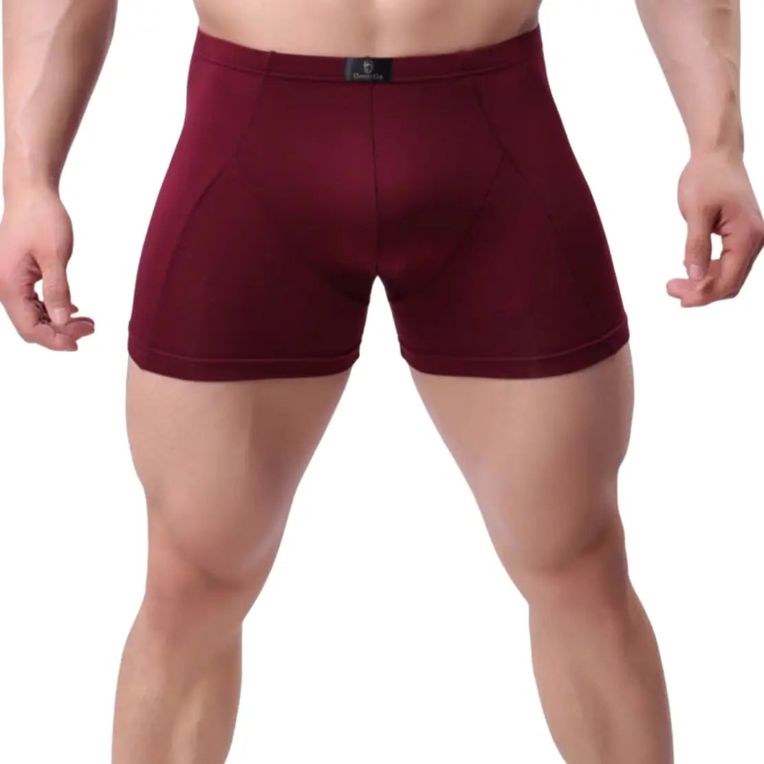DomiGe DomiGe Men's Modal Boxer Shorts - Smooth Edges & Rear Support