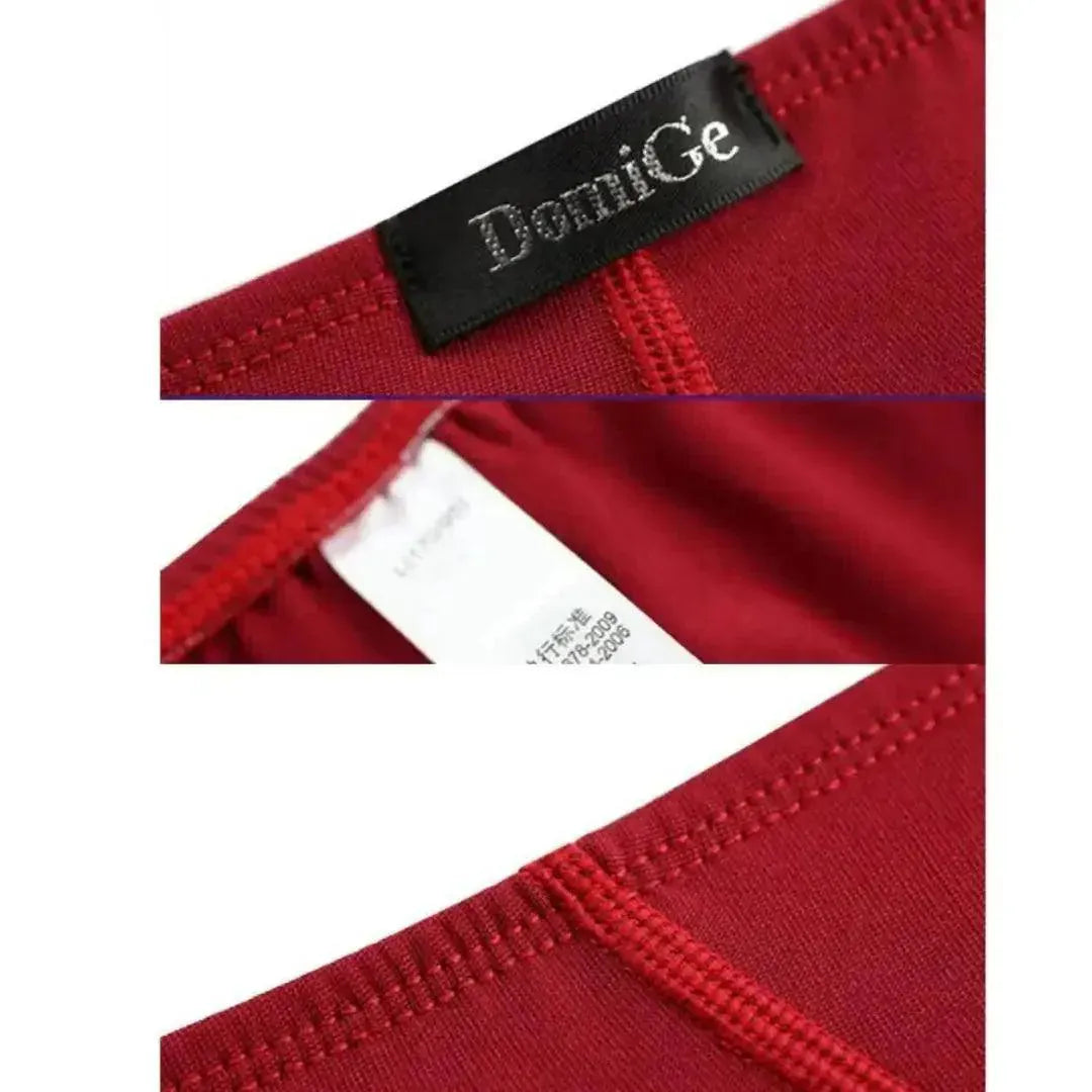 DomiGe DomiGe Men's Red Low-Rise Full Coverage Briefs Stretch Underwear