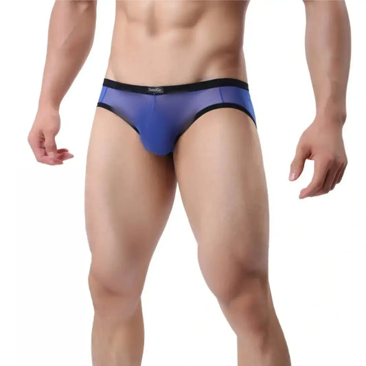 DomiGe DomiGe Men's Sheer Briefs with Contoured Pouch and Logo Waistband