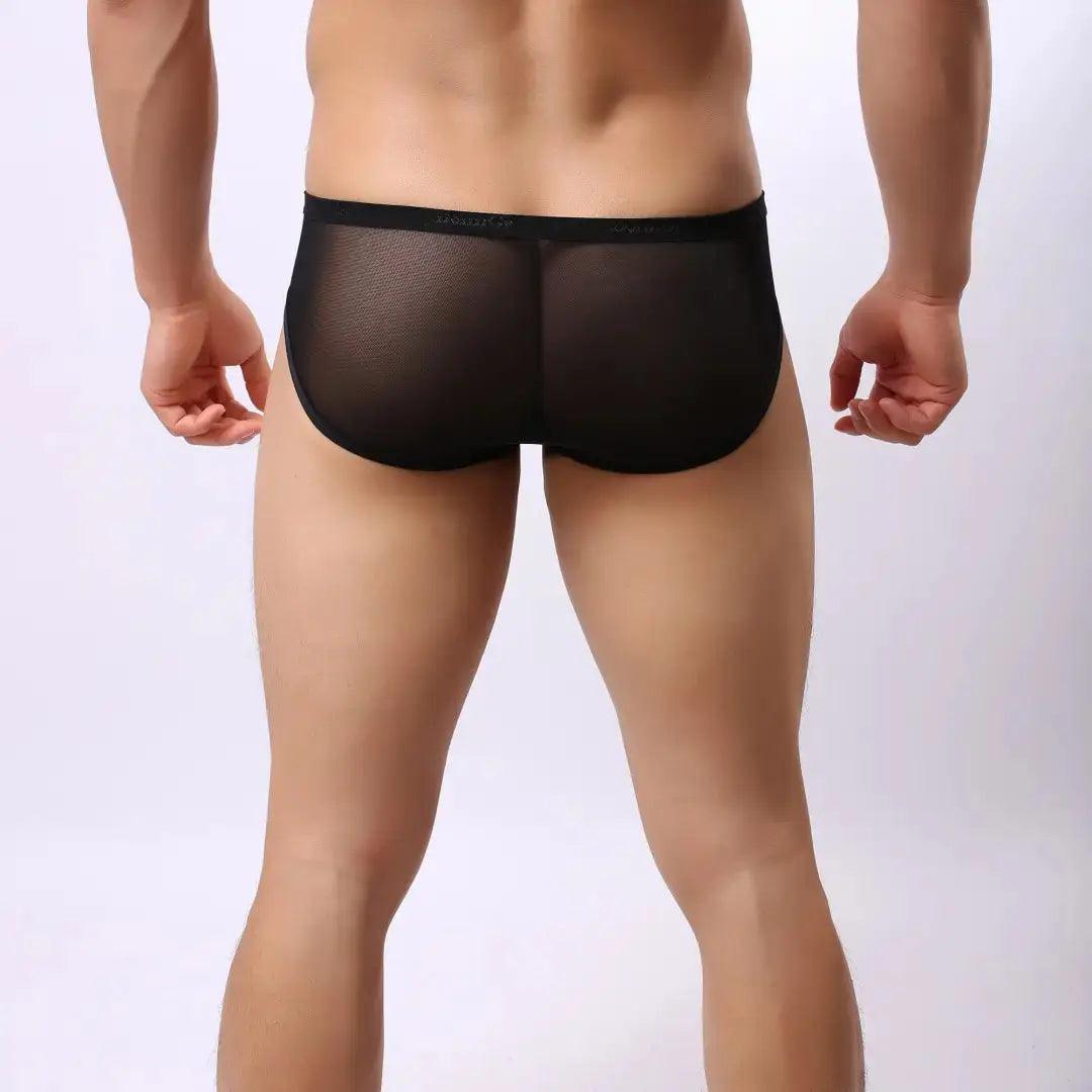 DomiGe DomiGe Men's Sheer Briefs with Contoured Pouch and Logo Waistband