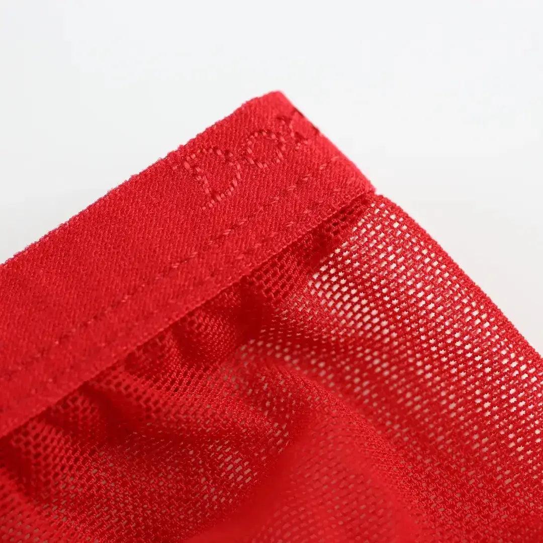 DomiGe DomiGe Men's Sheer Briefs with Contoured Pouch and Logo Waistband