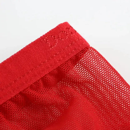 DomiGe DomiGe Men's Sheer Briefs with Contoured Pouch and Logo Waistband