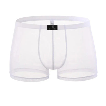DomiGe DomiGe Men's Sheer Mesh Boxer Shorts - Breathable & Sexy Male Underwear