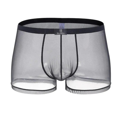 DomiGe DomiGe Men's Sheer Mesh Boxer Shorts - Breathable & Sexy Male Underwear