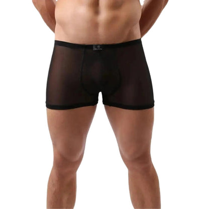 DomiGe DomiGe Men's Sheer Mesh Boxer Shorts - Breathable & Sexy Male Underwear