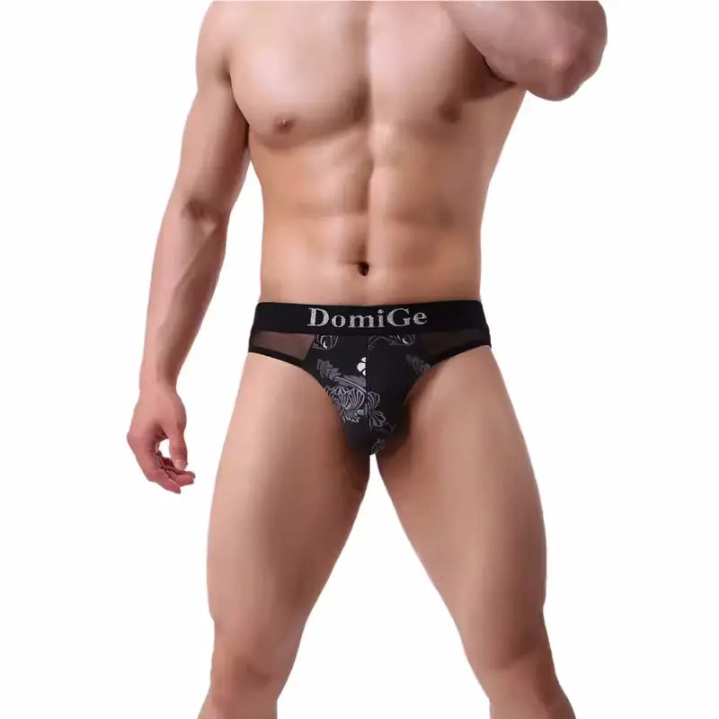 DomiGe DomiGe Men's Sheer Mesh Underwear - Black, Low Rise , Sexy and Stylish