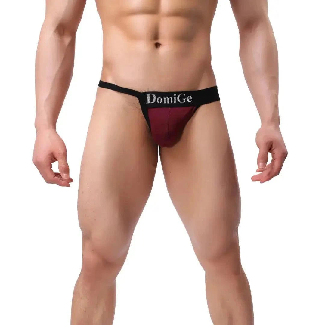 DomiGe DomiGe Men's T-Back Thong Adjustable Waistband Logo Male Underwear