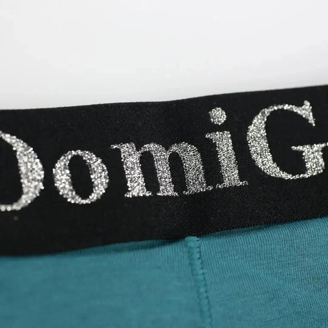 DomiGe DomiGe Men's T-Back Thong Adjustable Waistband Logo Male Underwear