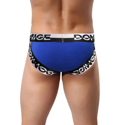 DomiGe DomiGe Men's Underwear Briefs with Silver Logo Waistband Briefs