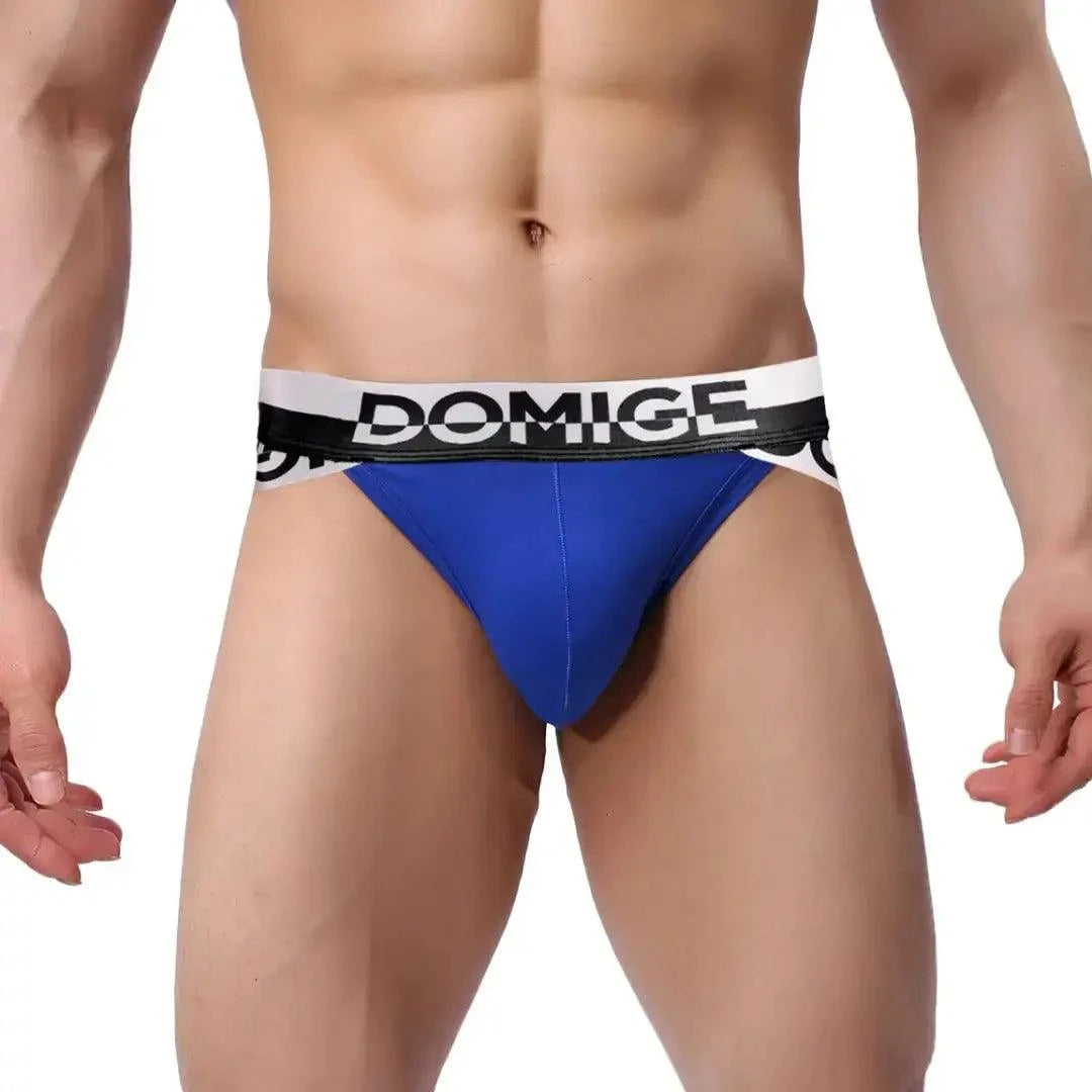 DomiGe DomiGe Men's Underwear Briefs with Silver Logo Waistband Briefs