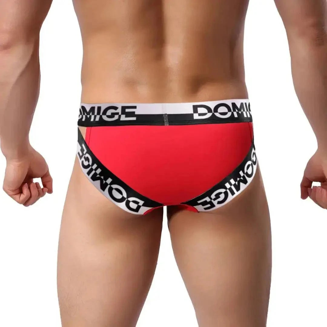 DomiGe DomiGe Men's Underwear Briefs with Silver Logo Waistband Briefs