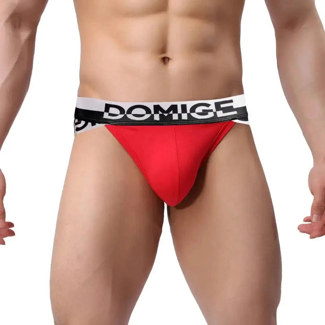 DomiGe DomiGe Men's Underwear Briefs with Silver Logo Waistband Briefs