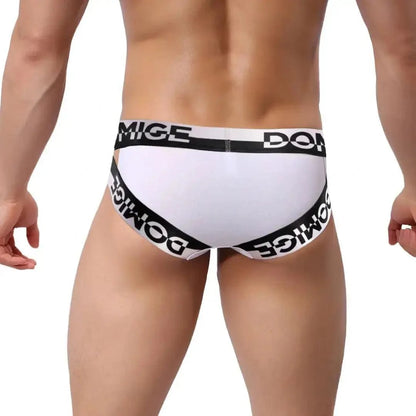 DomiGe DomiGe Men's Underwear Briefs with Silver Logo Waistband Briefs