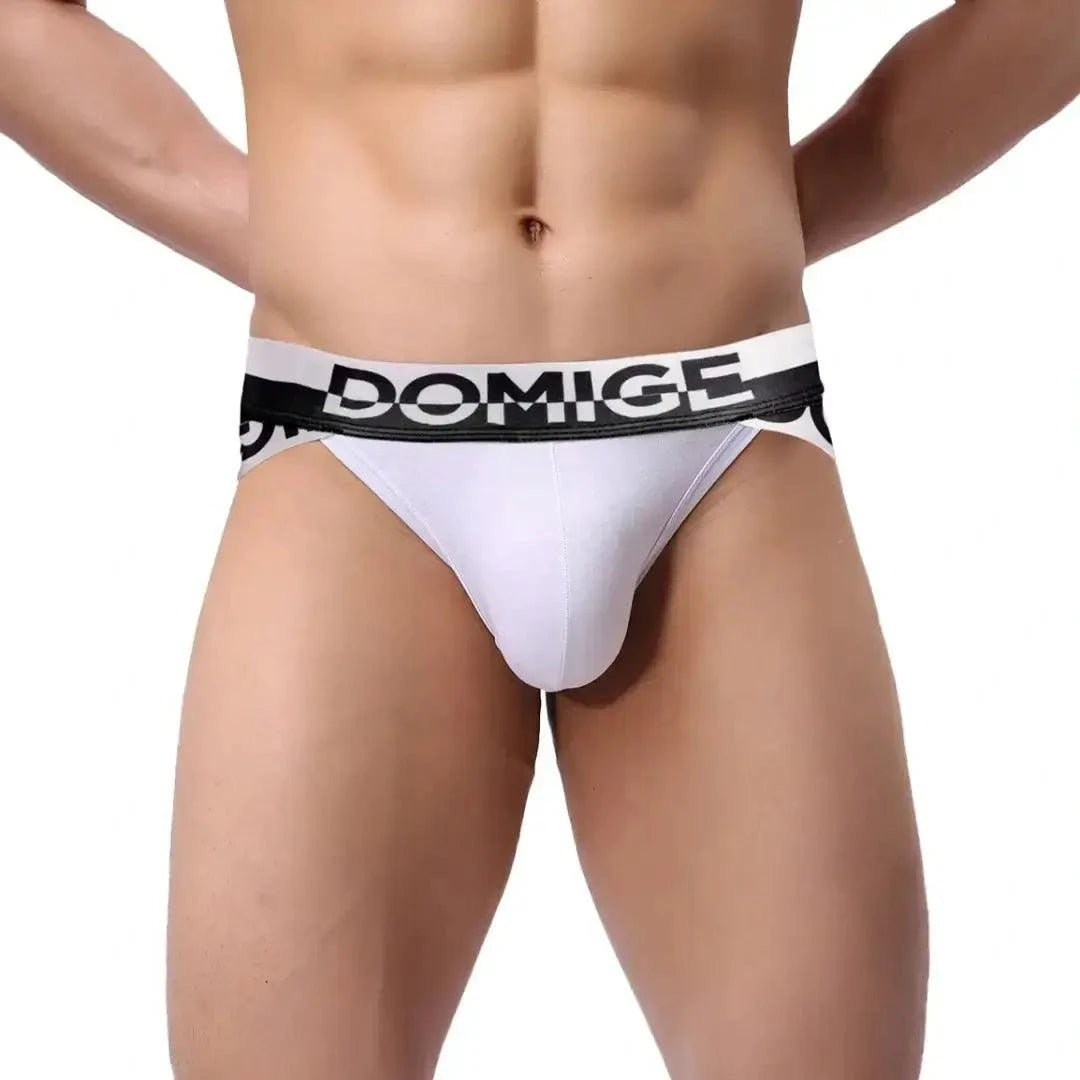 DomiGe DomiGe Men's Underwear Briefs with Silver Logo Waistband Briefs