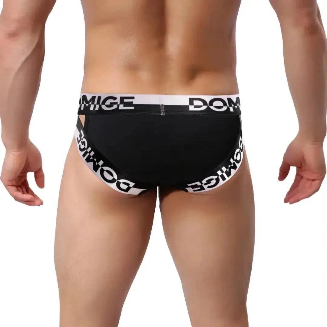 DomiGe DomiGe Men's Underwear Briefs with Silver Logo Waistband Briefs