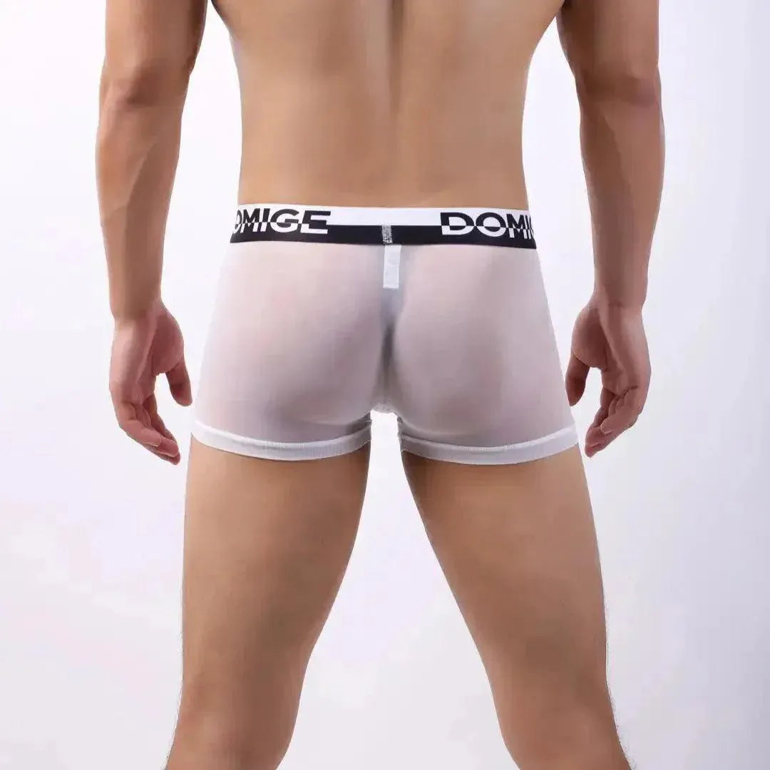 DomiGe DomiGe Sheer Men's Low Rise See-Through Mesh Boxer Shorts