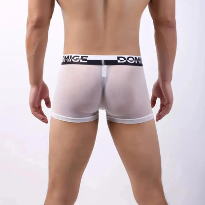 DomiGe DomiGe Sheer Men's Low Rise See-Through Mesh Boxer Shorts