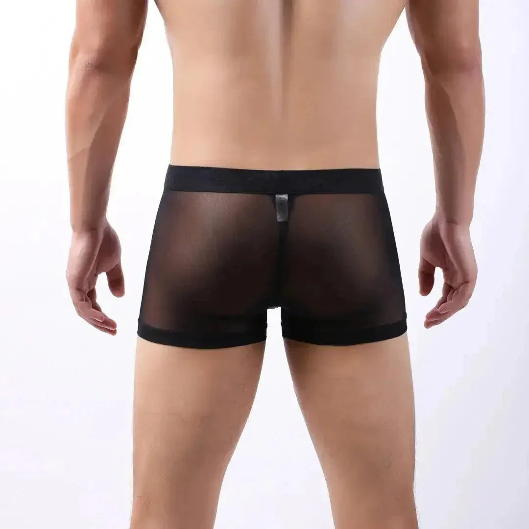 DomiGe DomiGe Sheer Men's Low Rise See-Through Mesh Boxer Shorts