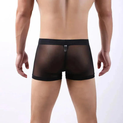 DomiGe DomiGe Sheer Men's Low Rise See-Through Mesh Boxer Shorts